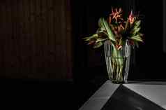 美丽的花束花玻璃花瓶装饰白色石头黑暗房间明亮的太阳光太阳光反映了玻璃花瓶创建发光概念元素设计成长