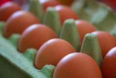 纸板包装鸡蛋健康的食物饮食