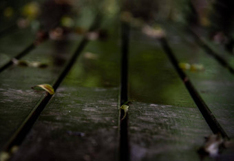 特写镜头照片棕色（的）乡村木板材地板上下降叶子雨反射灯复制空间