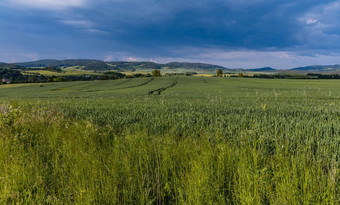 美丽的景观绿色字段山鲁达维贾诺维基