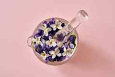 春天概念白色紫色的英语紫罗兰色的花玻璃砂浆柔和的粉红色的背景