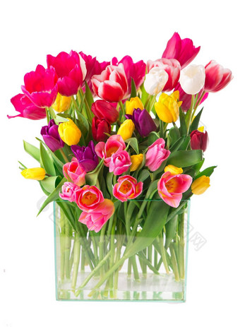 美丽的色彩斑斓的郁金香叶子<strong>玻璃</strong>花瓶孤立的透明的背景<strong>照片</strong>新鲜的春天花节日设计