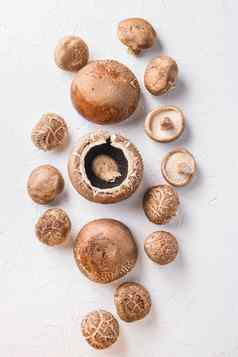 波多贝罗香菇蘑菇集白色背景前视图