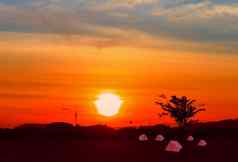帐篷帆布旅游住宿野营放松时间日落背景复制空间