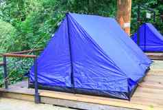 关闭帐篷蓝色的住宿野营放松森林