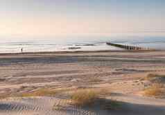 孤独的数字漫步海滩北海荷兰省泽兰蓝色的天空春天