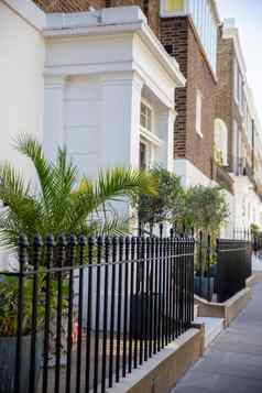 白色英国公寓列植物装修入口