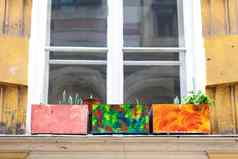色彩斑斓的花盆房子窗口