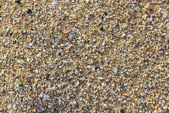 细节沙子壳牌片段海滩
