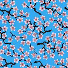 无缝的模式开花日本樱桃樱花分支机构粉红色的花天上的背景