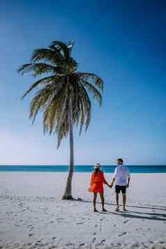棕榈树海岸线鹰海滩阿鲁巴岛