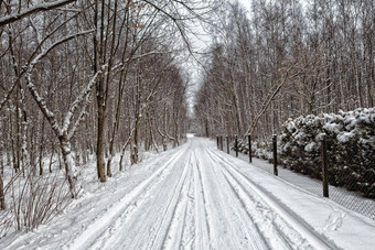 冬天雪路