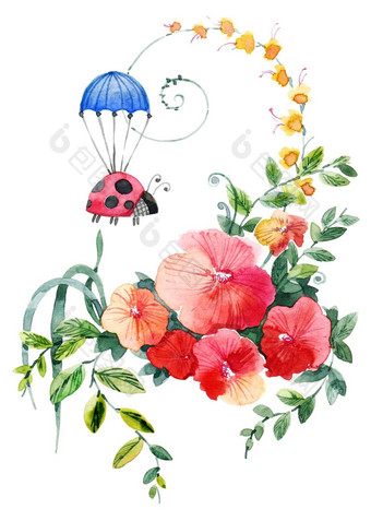 花瓢虫降落伞