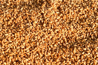无缝的小麦粮食纹理模式早....阳光自然干生有机食物粮食前视图背景干早餐麦片宏拍摄特写镜头农业收获概念