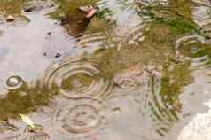 雨滴水表面雨秋天地面降雨季节雨滴荡漾水坑明亮的天空反射摘要自然背景