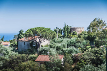 风车bormes-les-mimosas