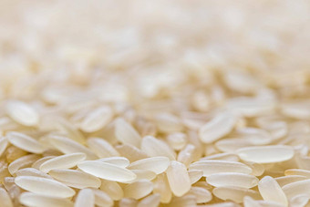 白色大米谷物背景纹理无谷蛋白健康的vegeterian食物