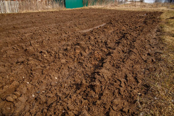 耕种地面春天土豆种植