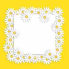 美丽的现代背景白色洋甘菊花空白表写作纸中心花时尚有创意的的想法时尚的自然春天夏天背景