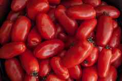 新鲜三marzano西红柿集团西红柿合适的使背景图片