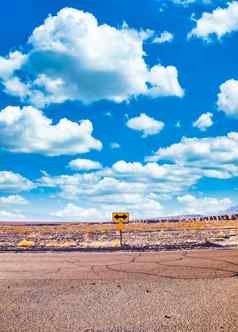 定向标志沙漠风景优美的蓝色的天空宽地平线概念旅行自由运输