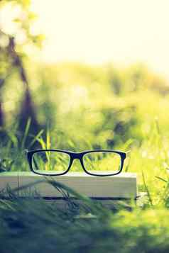 研究在户外眼镜书在户外公园春天时间