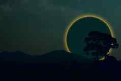 环月球eclipse回来轮廓树山晚上天空
