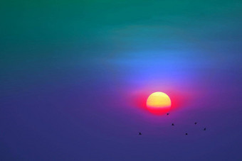 日落晚上色彩斑斓的柔和的云天空轮廓鸟飞行