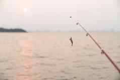 人工小鱼钓鱼杆海背景钓鱼日落