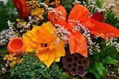 美丽的色彩斑斓的自然装饰装饰秋天季节