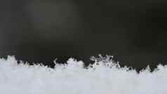 自然雪花雪照片真正的雪花