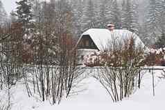 雪房子美丽的冬天景观概念建筑雪