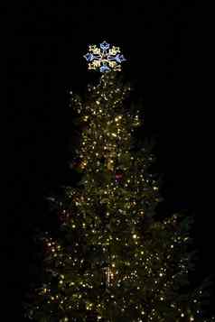 美丽的圣诞节树晚上