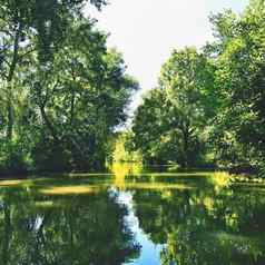 美丽的夏天景观河孩子运河美丽的风景捷克共和国