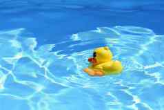 黄色的橡胶鸭池夏天美丽的清晰的蓝色的水背景旅行假期