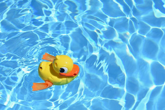 黄色的橡胶鸭黄色的橡胶鸭首页池夏天