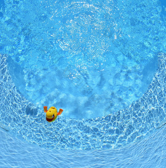 黄色的橡胶鸭黄色的橡胶鸭首页池夏天