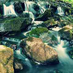 美丽的自然河岩石森林户外色彩斑斓的背景水