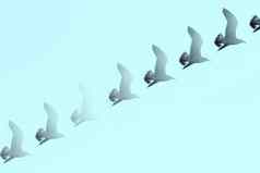 海鸥轮廓飞行蓝色的天空
