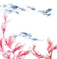 水彩插图海藻鱼
