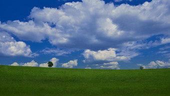 树完美的草场美丽的Cloudscape蓝色的天空云绿色壁纸
