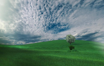 树完美的草场美丽的Cloudscape蓝色的天空云<strong>绿色壁纸</strong>
