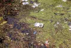 环境污染发现湖人倾倒垃圾