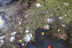环境污染发现湖人倾倒垃圾