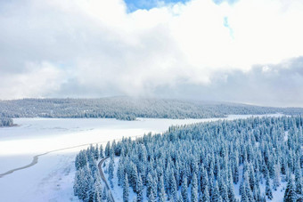 和平雪森林冻湖多云的天空