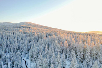 和平雪森林日出山背景