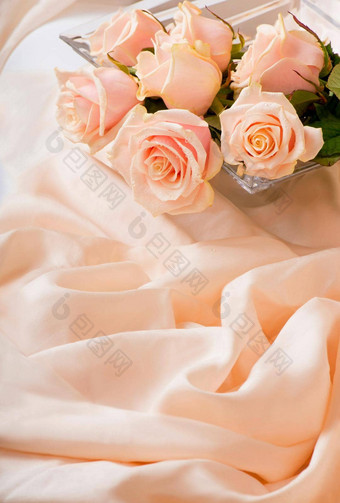 粉红色的玫瑰露水滴谎言精致的丝绸背景