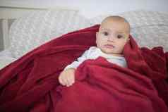 神情悠闲的婴儿覆盖红色的毯子说谎床上