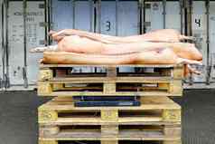 猪肉half-carcasses尺度提高了木托盘