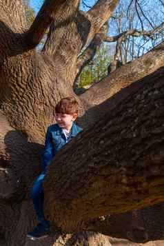 男孩穿蓝色的牛仔裤攀爬只树